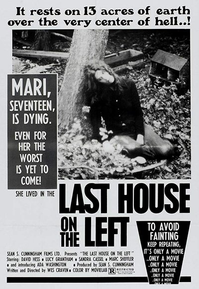 Plakat Filmu Ostatni dom po lewej stronie Cały Film CDA
